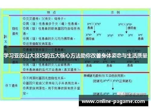 学习亚历山大技巧的五大核心方法助你改善身体姿态与生活质量