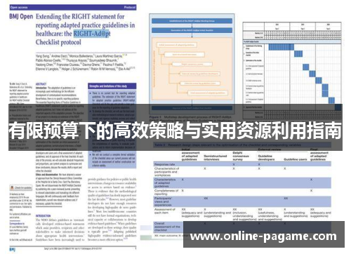 有限预算下的高效策略与实用资源利用指南