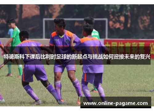 特德斯科下课后比利时足球的新起点与挑战如何迎接未来的复兴