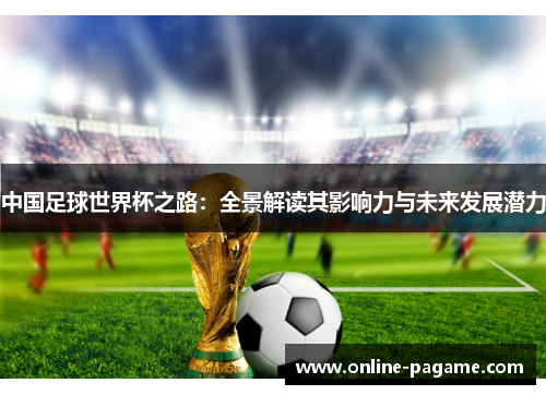 中国足球世界杯之路：全景解读其影响力与未来发展潜力
