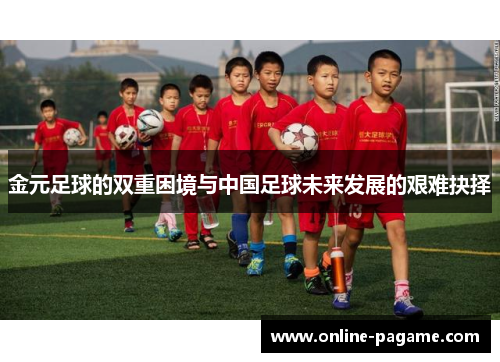 金元足球的双重困境与中国足球未来发展的艰难抉择