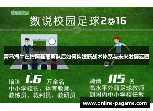 青岛海牛在博阿基耶离队后如何构建新战术体系与未来发展蓝图