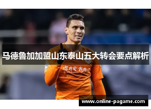 马德鲁加加盟山东泰山五大转会要点解析