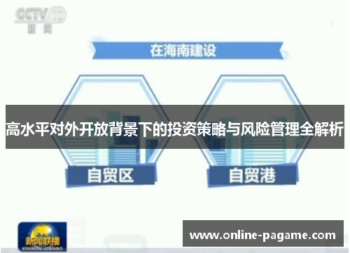 高水平对外开放背景下的投资策略与风险管理全解析
