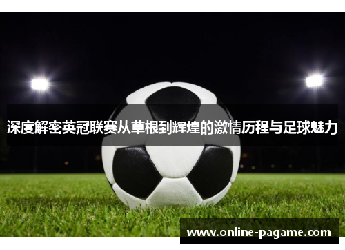 深度解密英冠联赛从草根到辉煌的激情历程与足球魅力 深度解密英冠联赛从草根到辉煌的激情历程与足球魅力